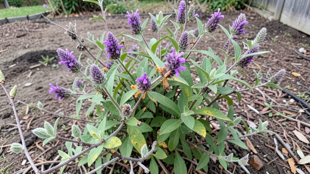 How Long Do Butterfly Bushes Bloom: Season-Long Timeline and Peak Months