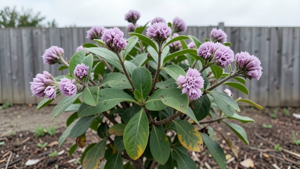 Ti Plant Bloom: Triggers to Coax Vibrant Flowers Indoors